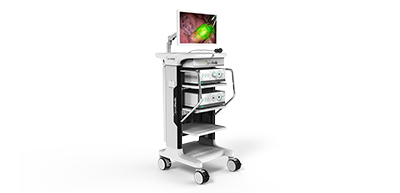 lic32